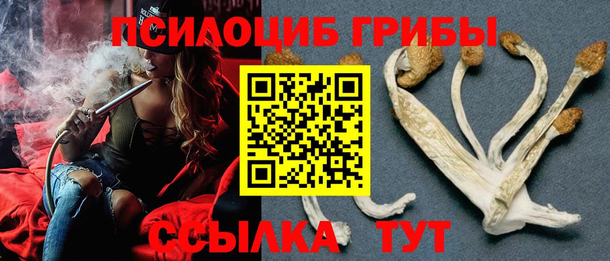 Холмск  где купить наркотик  Вход с VPN  Псилоцибиновые грибы Psilocybine cubensis 