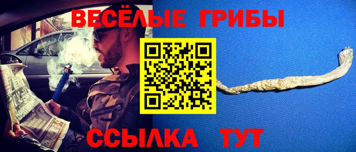 Псилоцибиновые грибы мицелий Холмск